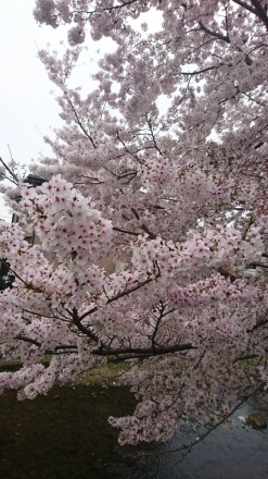 d0239963_14541958.jpg