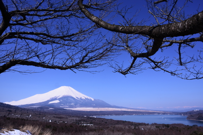 a0307264_17470942.jpg