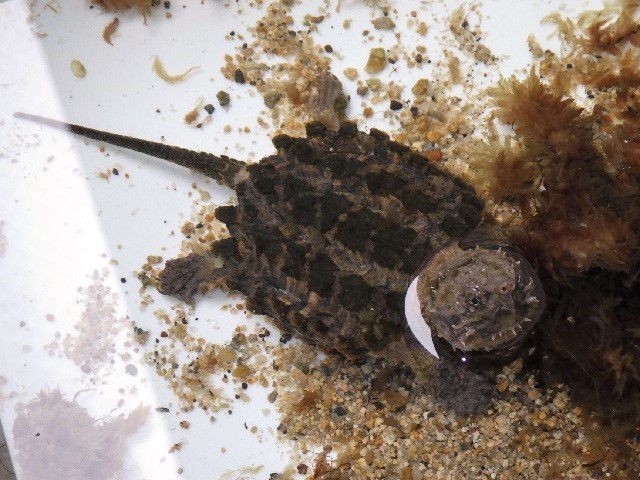 c0105569_01181142.jpg