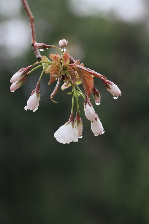 e0304170_22494194.jpg