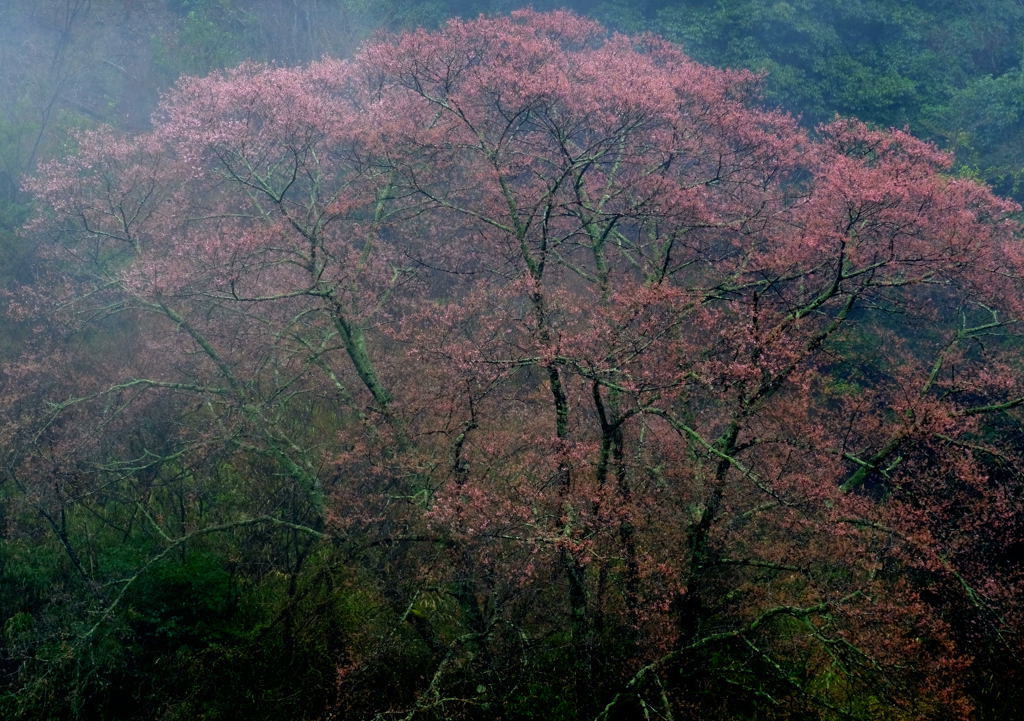 f0323171_07014930.jpg