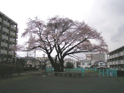 c0112172_231376.jpg