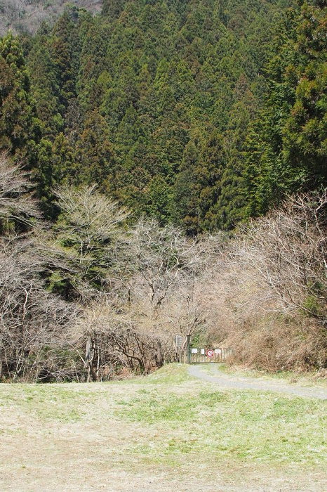 e0307372_19270324.jpg