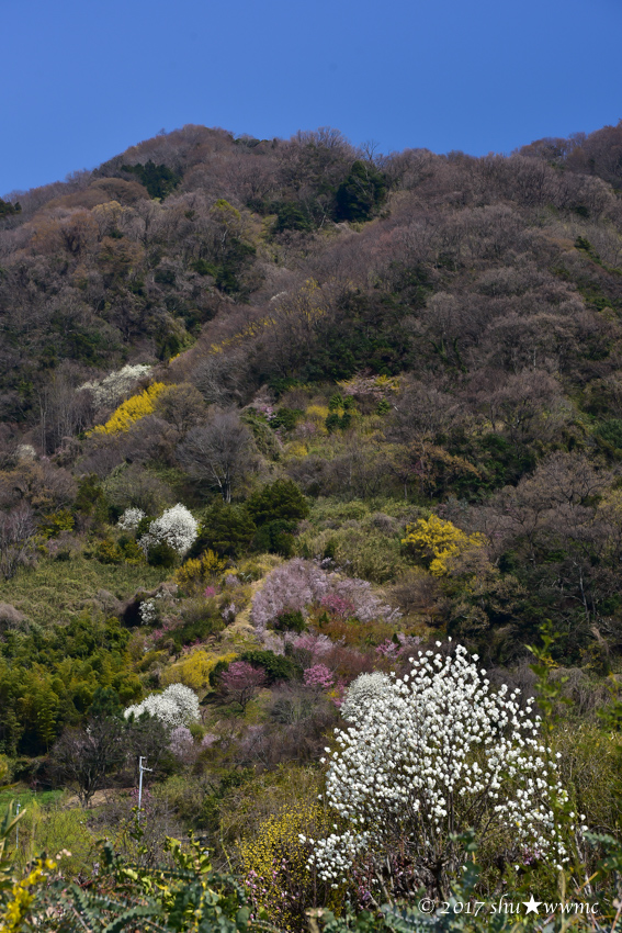 a0142976_18103285.jpg