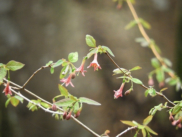 f0378979_22065851.jpg