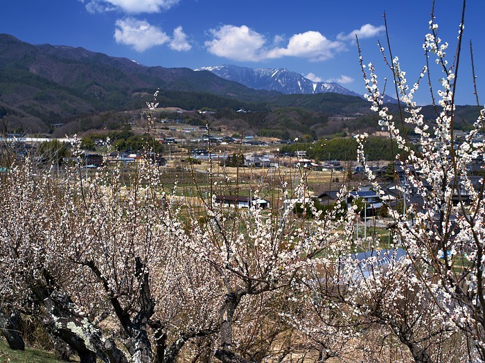 d0341880_07131665.jpg