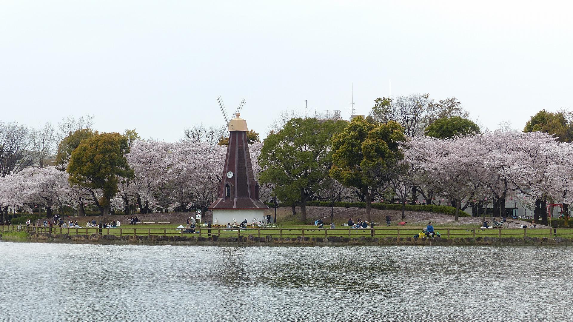 a0185081_19541624.jpg