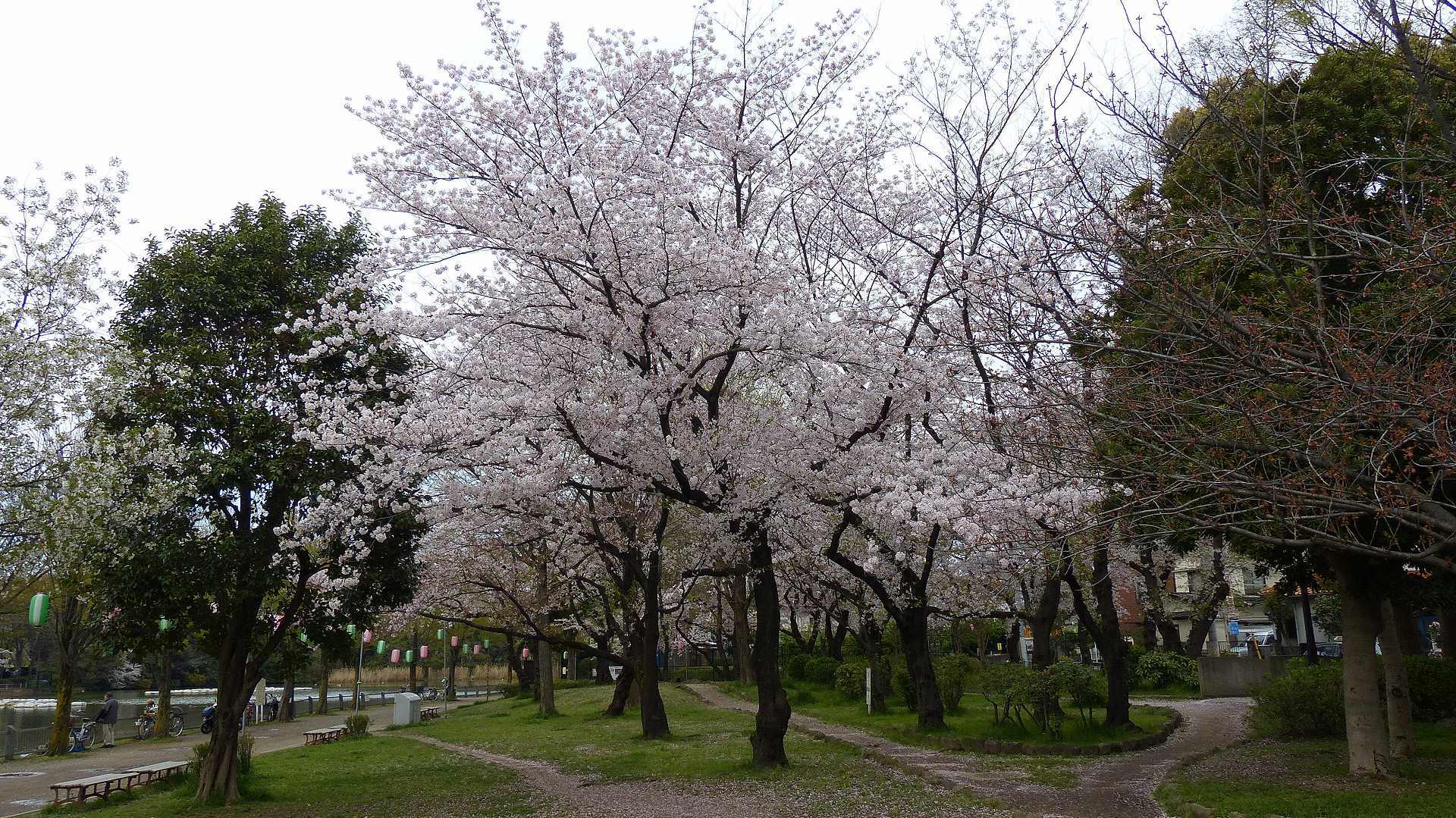 a0185081_20004578.jpg
