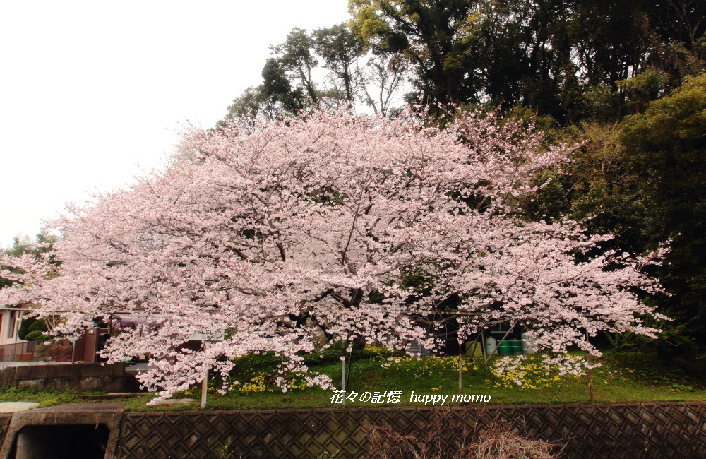 c0357781_16375296.jpg
