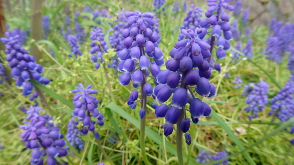 e0024081_19505200.jpg