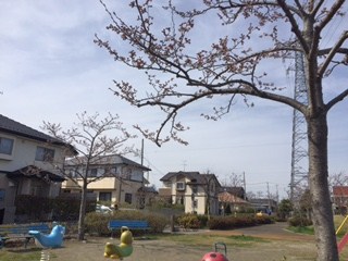 d0261484_18283396.jpg