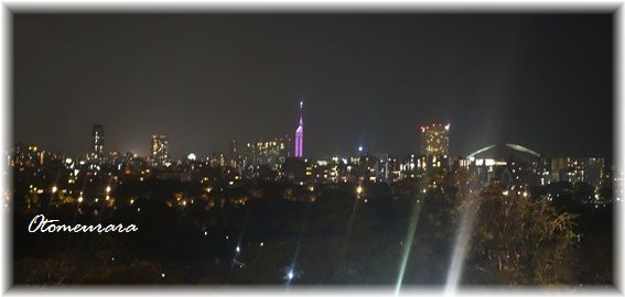 a0287486_1303836.jpg