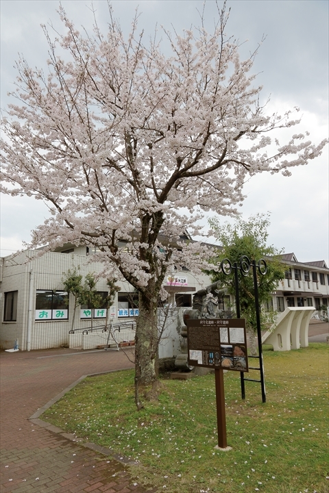 a0335890_12240531.jpg