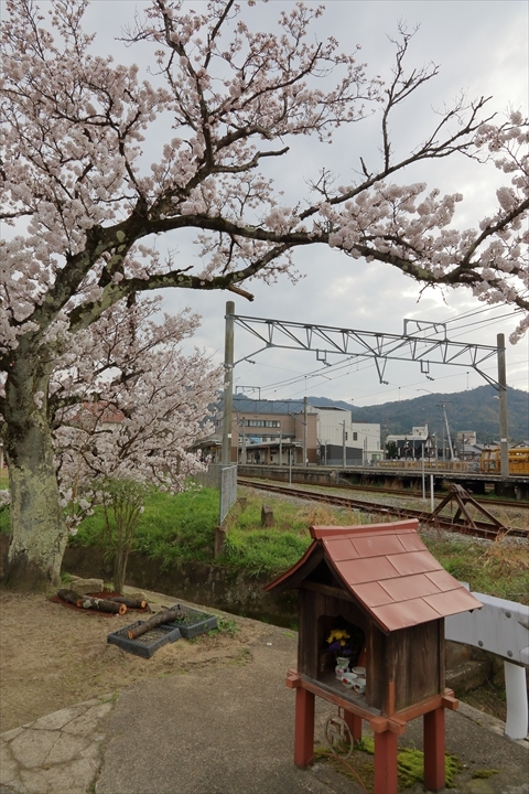 a0335890_12240623.jpg