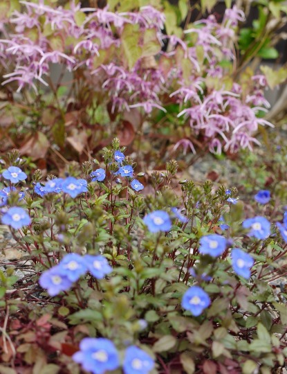 e0167795_17360317.jpg