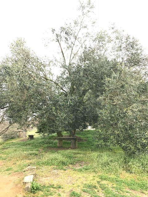 f0204295_13450630.jpg