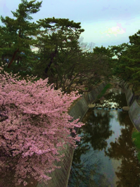 a0126497_22172337.jpg
