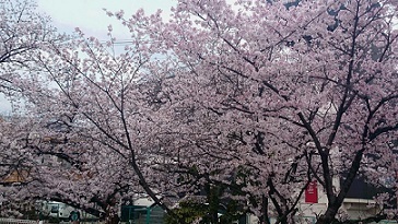 b0366199_12113962.jpg