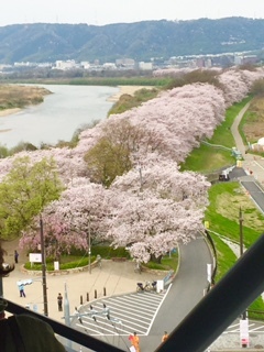 b0088100_11581534.jpg