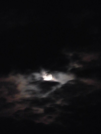 e0078404_01052923.jpg