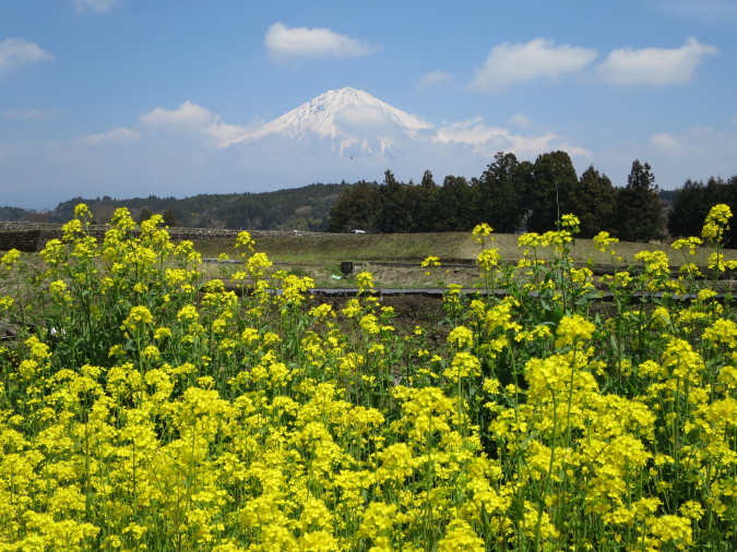 a0188405_07505127.jpg