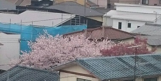 a0337807_13401455.jpg