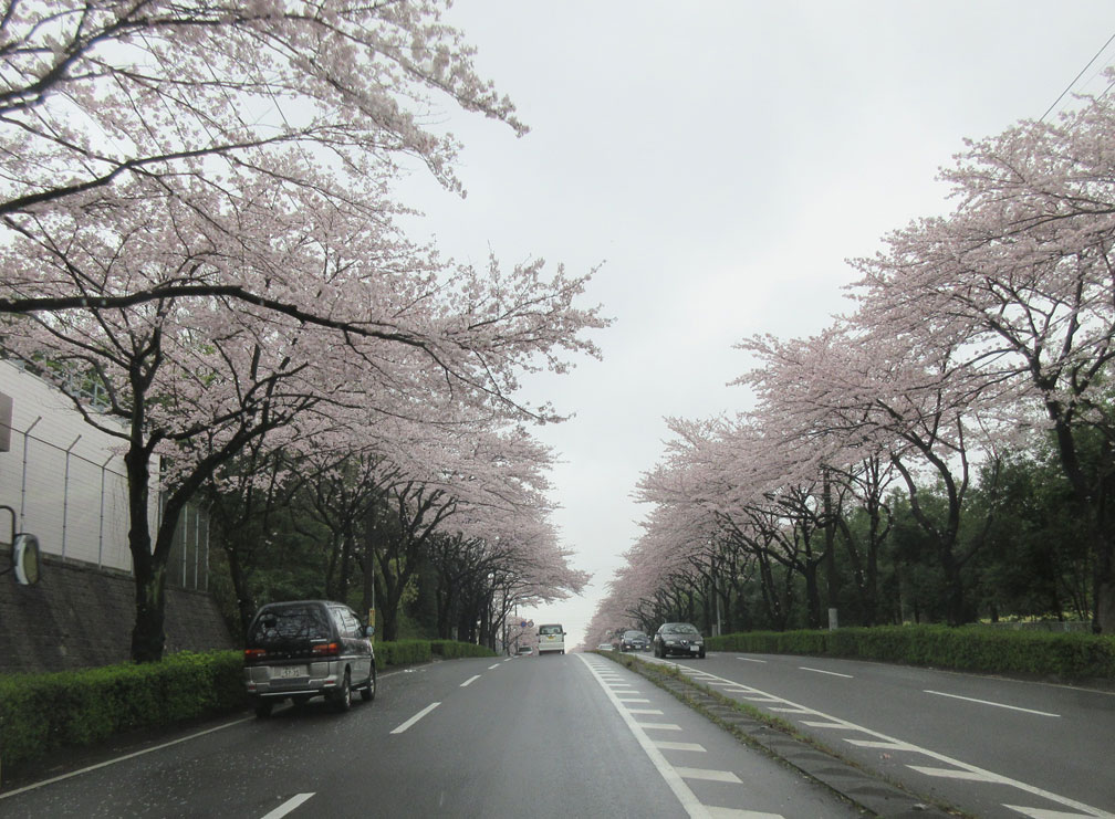 c0085508_995212.jpg