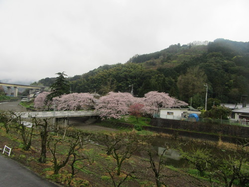 f0231709_2021189.jpg