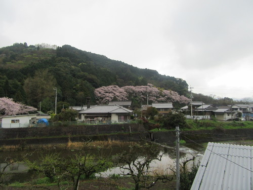 f0231709_20212393.jpg