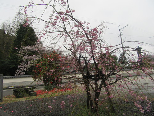 f0231709_20343268.jpg