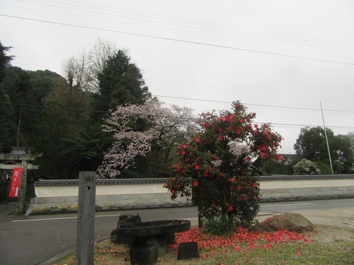 f0231709_2037737.jpg