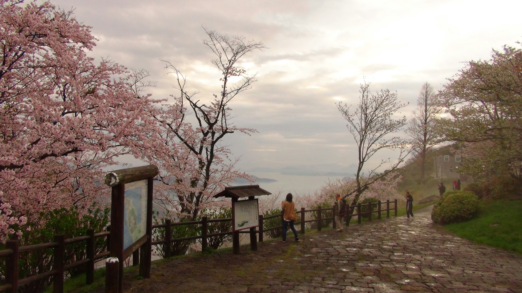 f0231709_2344278.jpg