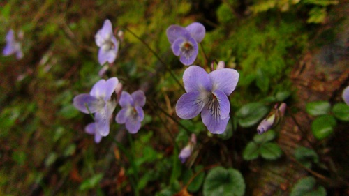 f0231709_234948.jpg