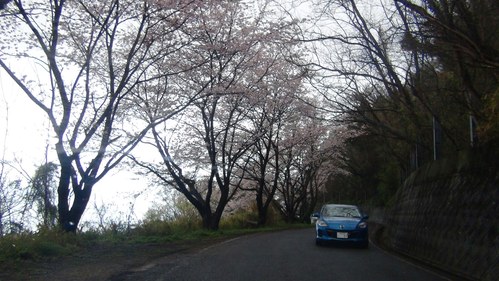 f0231709_2350563.jpg