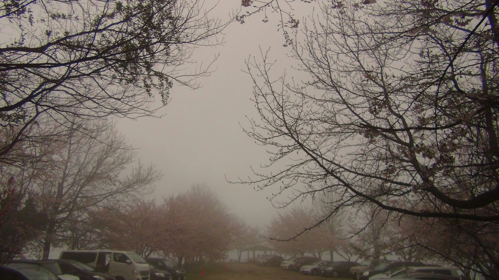 f0231709_23521521.jpg