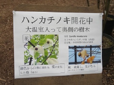 f0325309_15321728.jpg