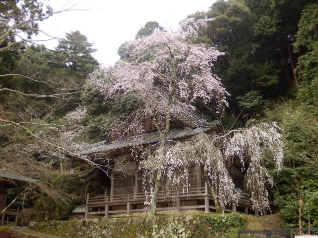 f0219710_06481175.jpg
