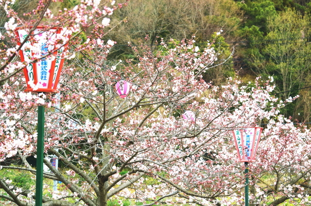 f0368610_15074757.jpg