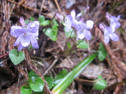 c0062511_21035869.jpg