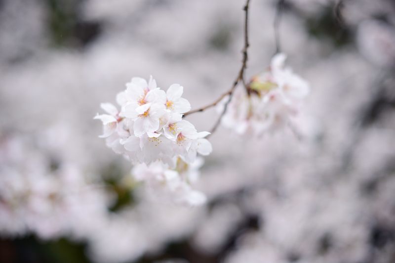 f0032011_20191956.jpg