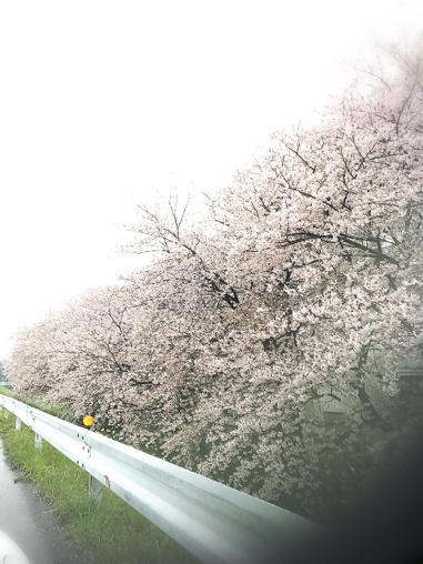 a0146013_21454987.jpg