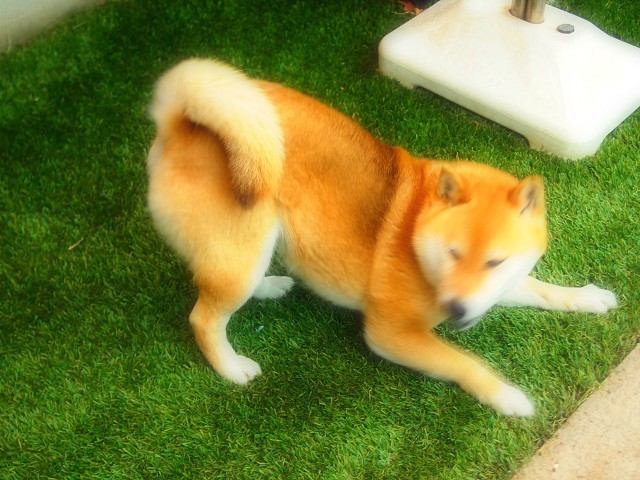 d0295818_22015883.jpg