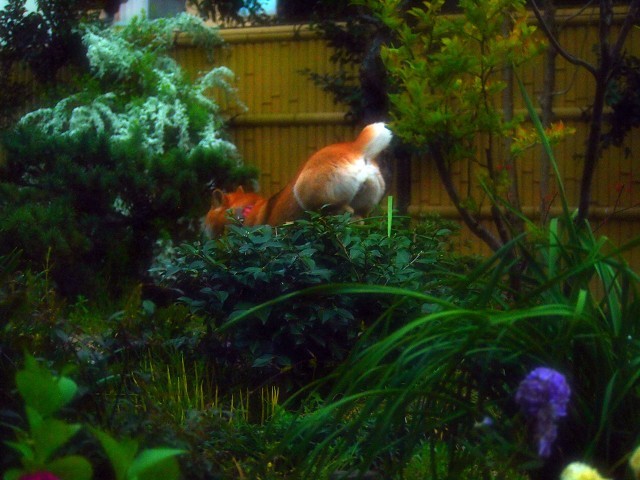 d0295818_22143026.jpg