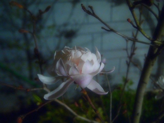 d0295818_22194983.jpg
