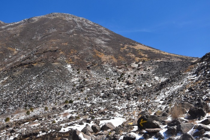 f0174419_19331741.jpg