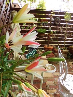 c0204121_22465595.jpg