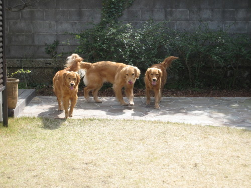 e0350927_09030059.jpg