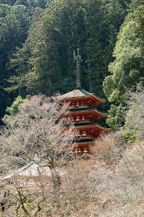 d0147530_7574978.jpg