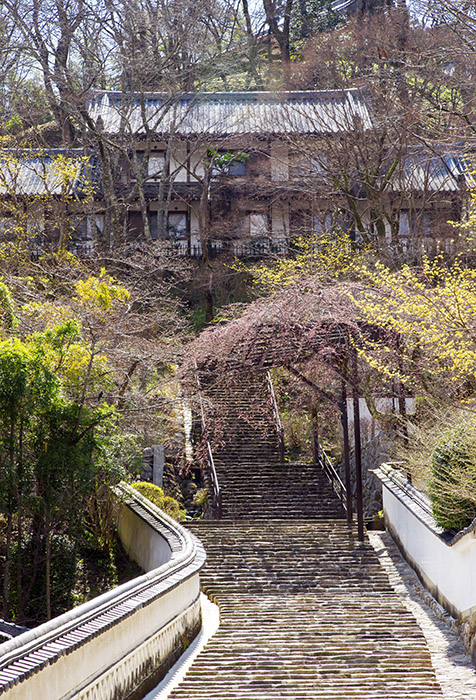 d0147530_758195.jpg