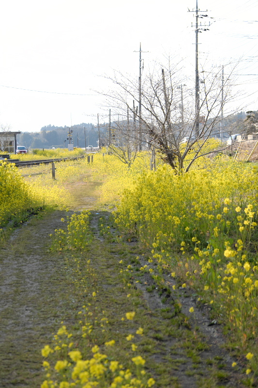 f0358531_23251683.jpg
